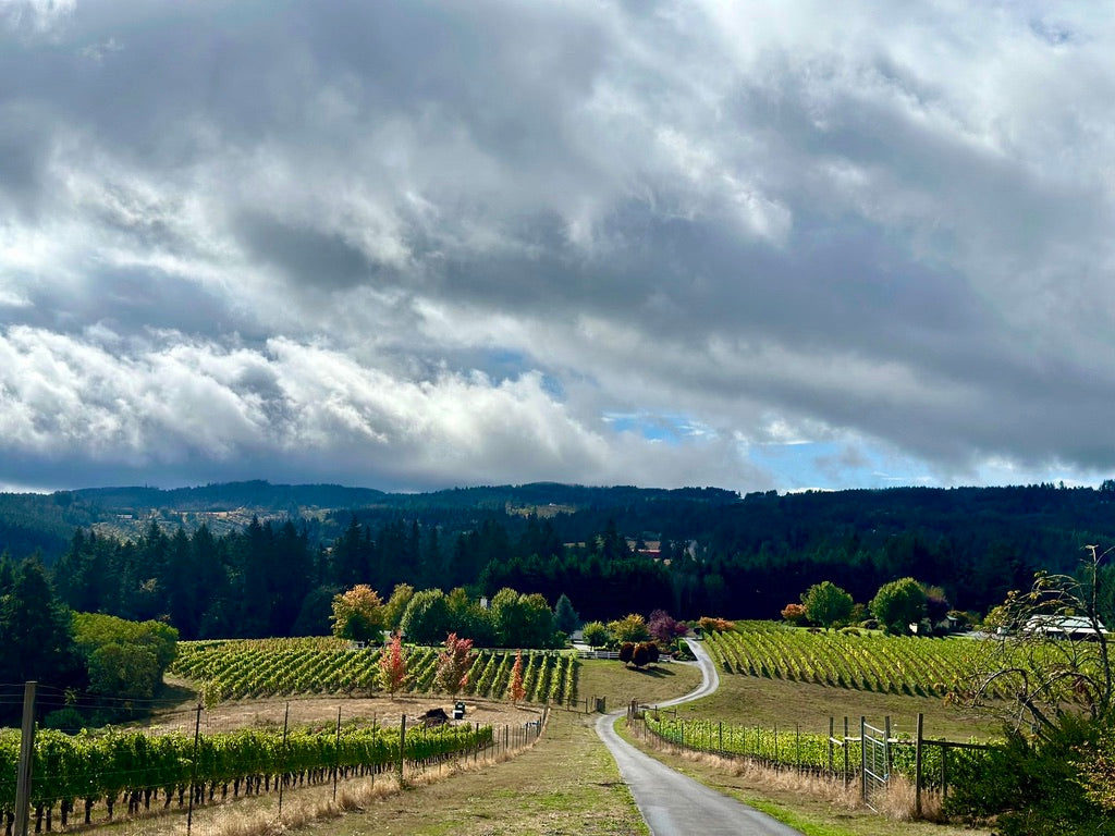 Laurelwood District